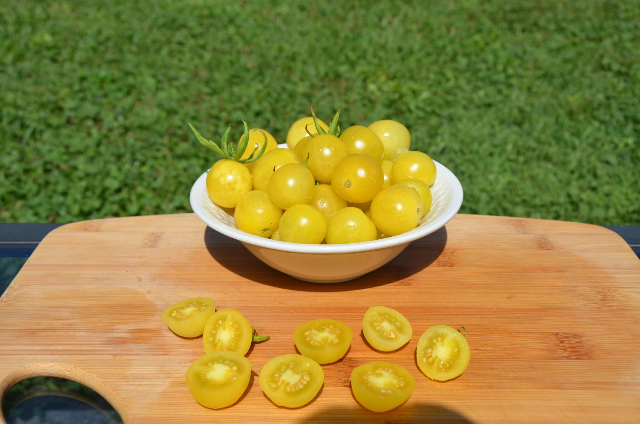 Lemon Drop Organic Tomato - ohio heirloom seeds