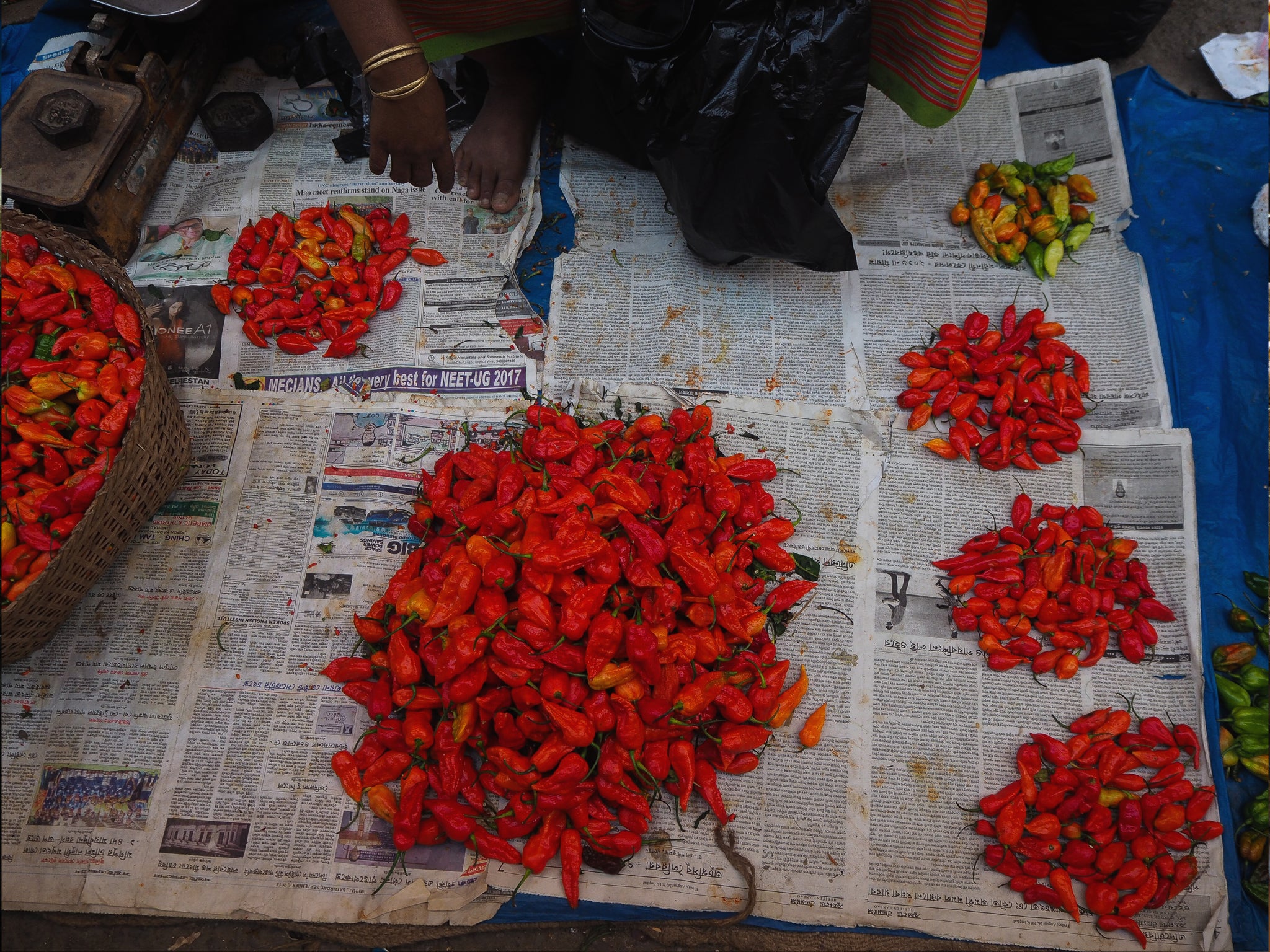 The Incredible Story of Bhut Jolokia(Ghost Pepper)