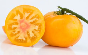 Azoychka Tomato - ohio heirloom seeds