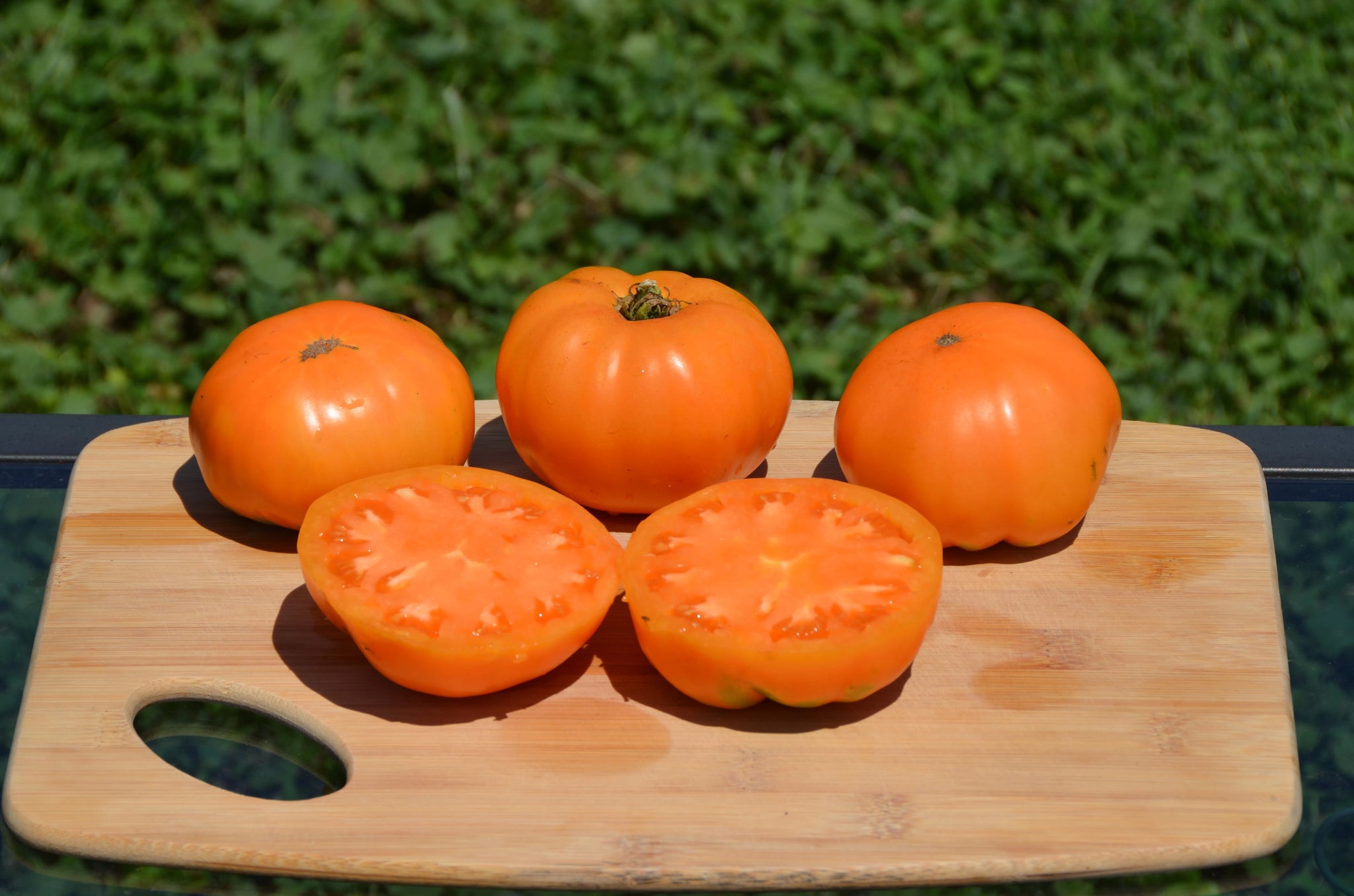 5.78 Vander Wielen Tomato Seeds