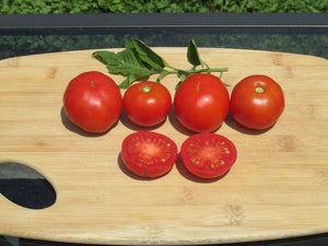 Stupice Organic Tomato - ohio heirloom seeds