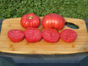 Red Calabash Organic Tomato - ohio heirloom seeds