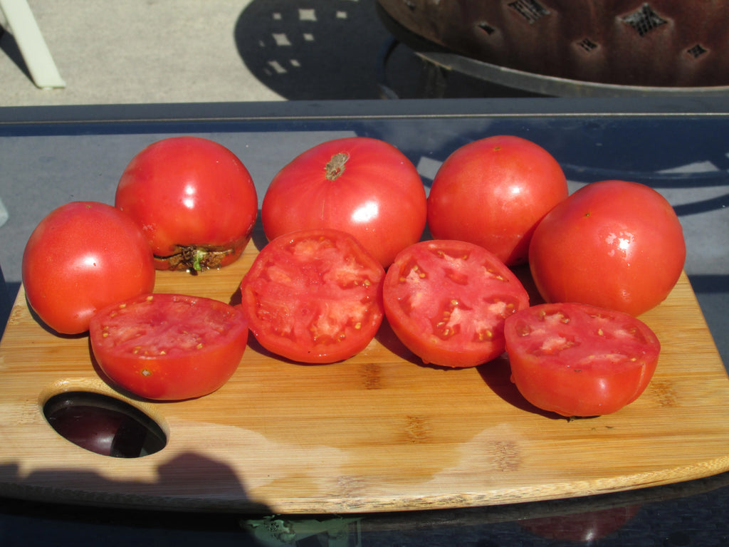 Big Pink Organic Tomato - ohio heirloom seeds