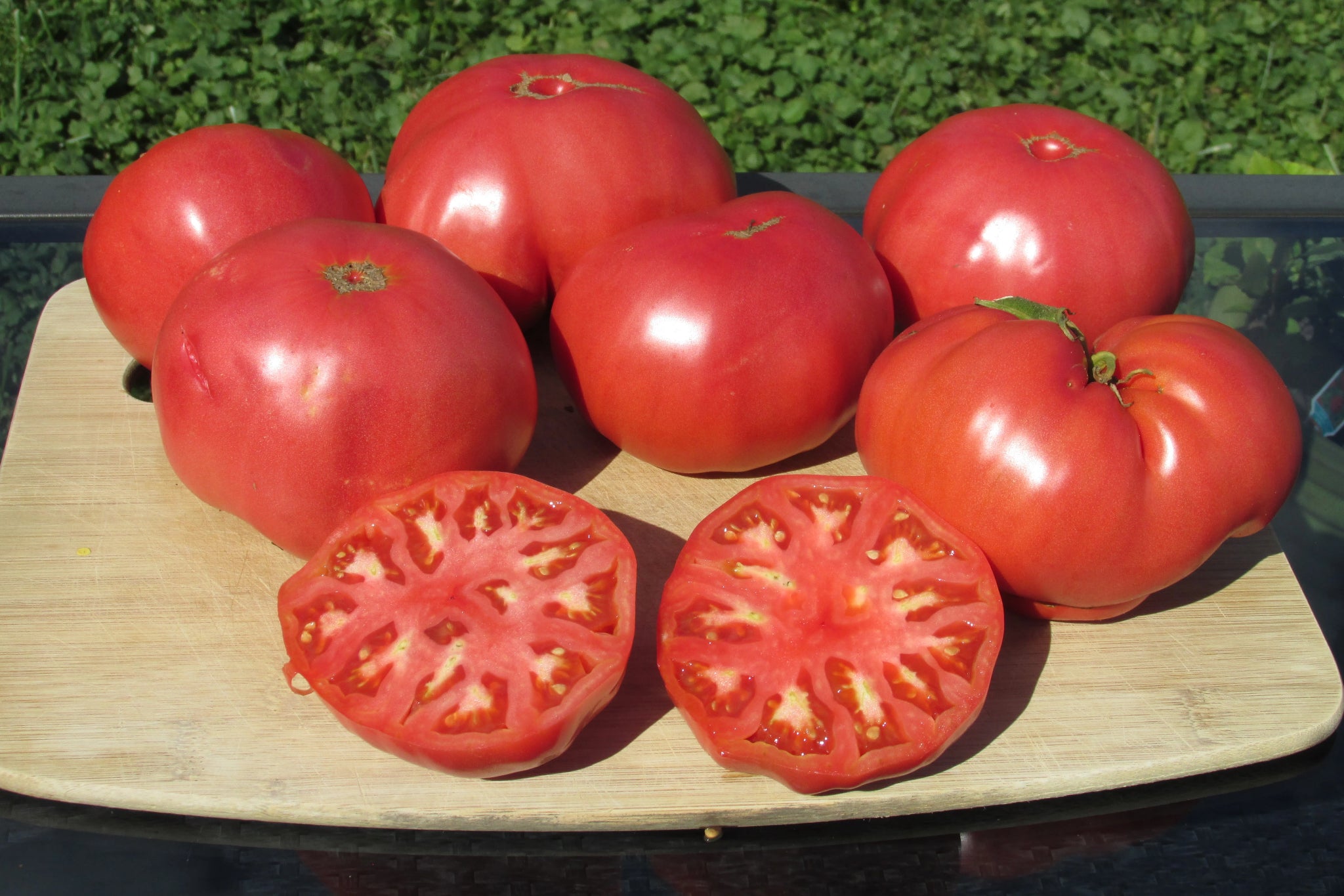 Epstein’s Big Zac Organic Tomato - ohio heirloom seeds