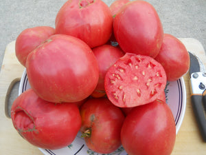 Strawberry Organic Tomato - ohio heirloom seeds