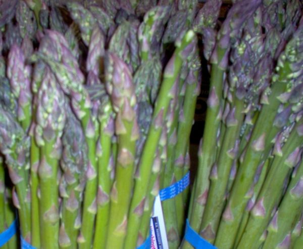 Asparagus Marry Washington - ohio heirloom seeds