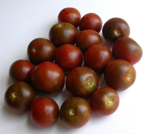 Black Cherry Tomato - ohio heirloom seeds
