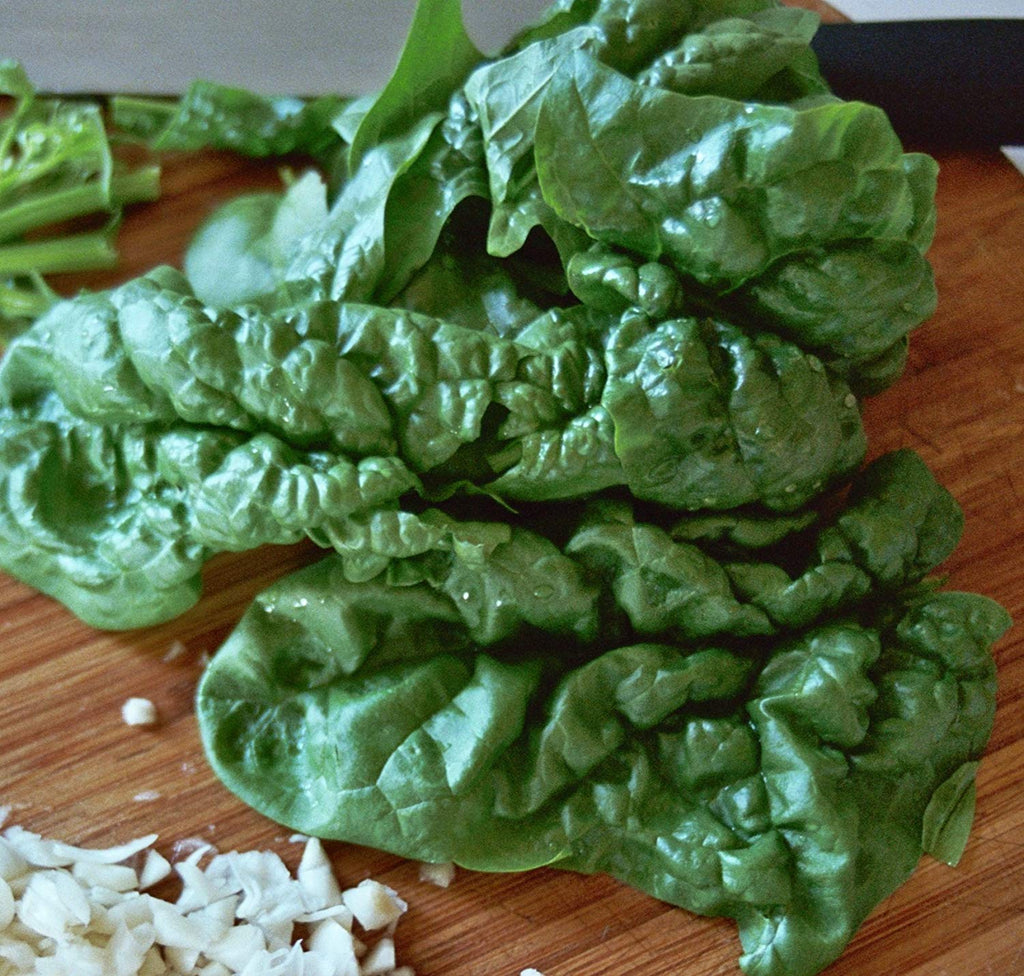 Bloomsdale Savoy Organic Spinach - ohio heirloom seeds