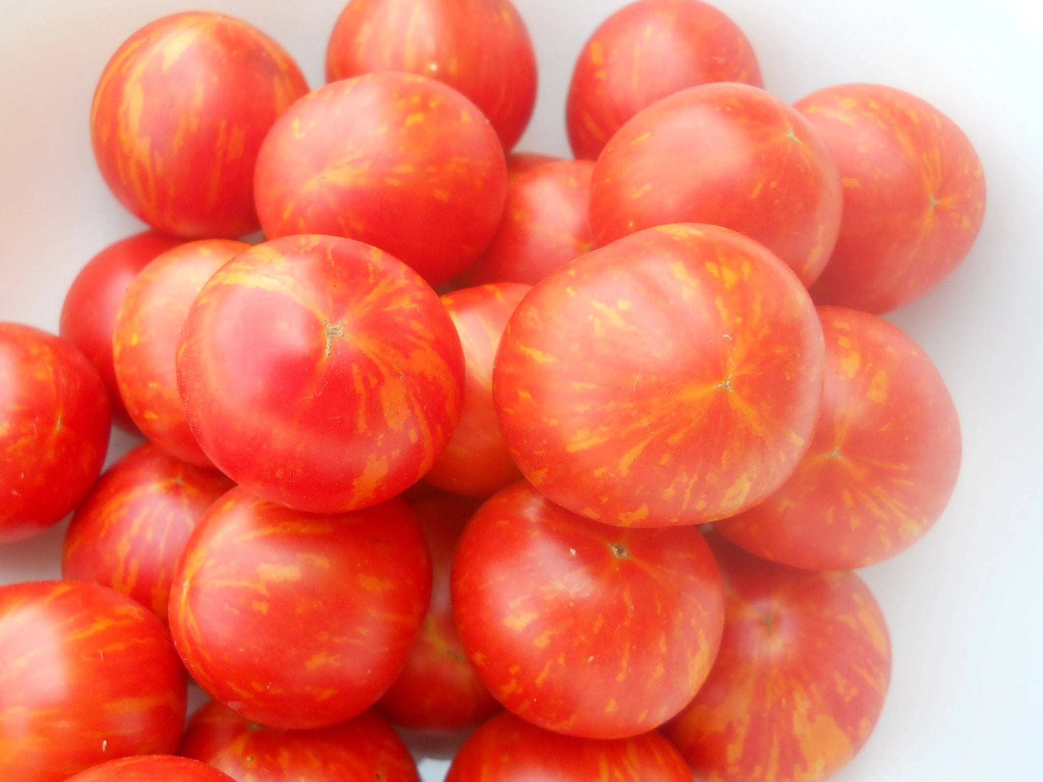 Amur Tiger Organic Tomato - ohio heirloom seeds
