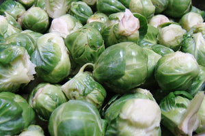 Brussels Sprouts - Long Island Improved - ohio heirloom seeds