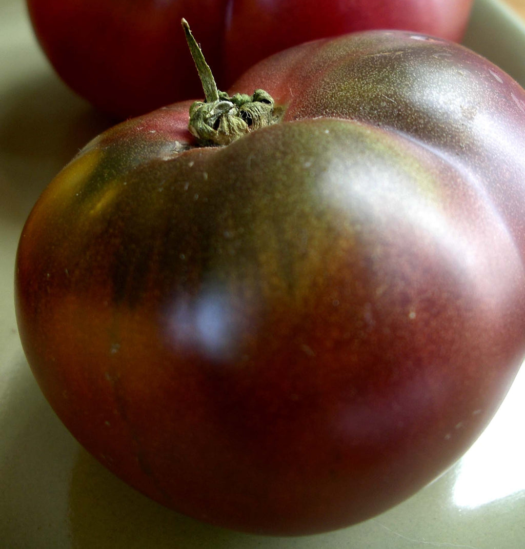 Cherokee Purple Tomato - ohio heirloom seeds