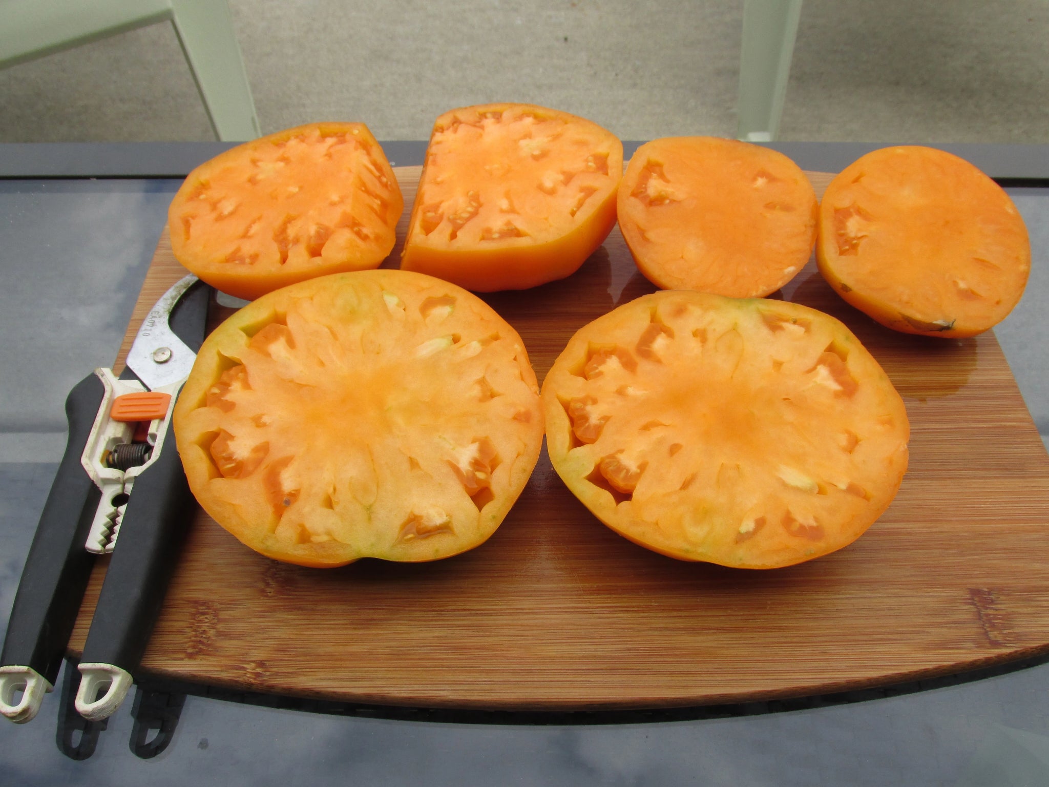 (Orange) Kentucky Beefsteak Tomato - ohio heirloom seeds