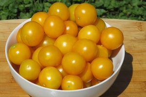 Galina Organic Tomato - ohio heirloom seeds