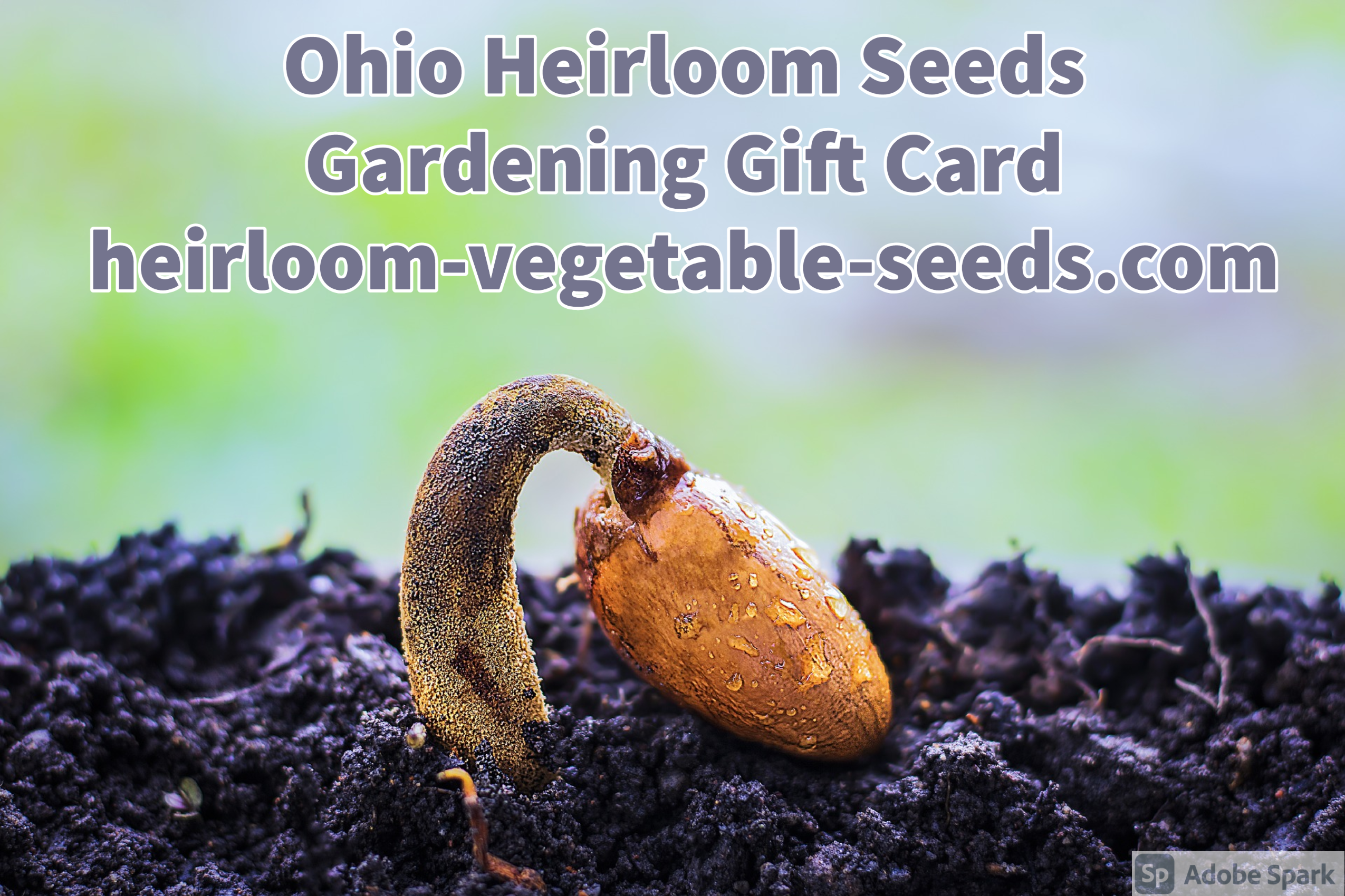 Ohio Heirloom Seeds E-Gift Card Ohio Heirloom Seeds E-Gift Card