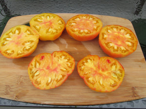 Hillbilly Organic Tomato - ohio heirloom seeds