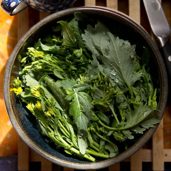 Broccoli (Rabe, Rapini) Raab - ohio heirloom seeds