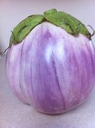 Rossa Bianca Eggplant - ohio heirloom seeds