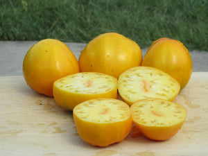 Korol Sibiri Organic Tomato - ohio heirloom seeds