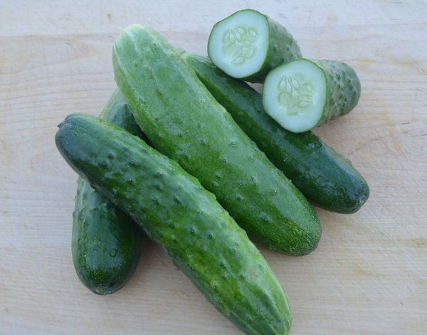 Straight Eight Cucumber - ohio heirloom seeds