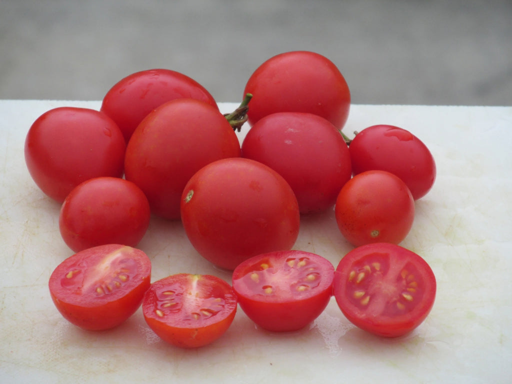Sweet Cranberry Organic Tomato - ohio heirloom seeds
