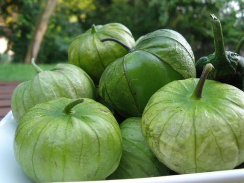 Tomatillo Verde - ohio heirloom seeds