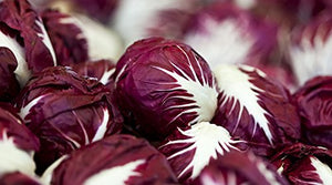 Radicchio (Chicory) - Verona Red Lettuce - ohio heirloom seeds