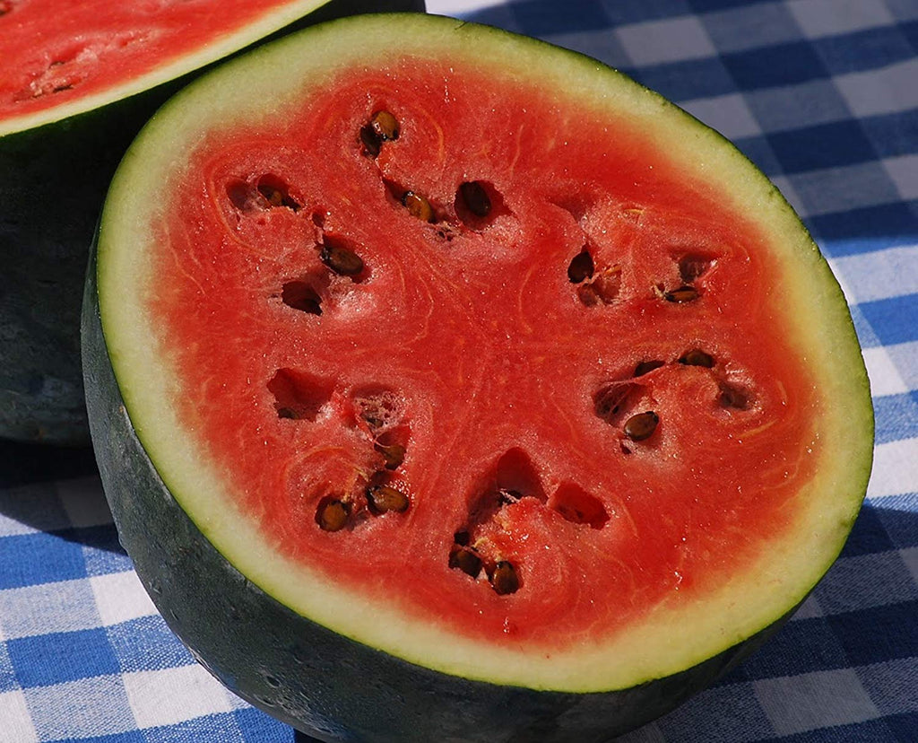 Sugar Baby Watermelon - ohio heirloom seeds