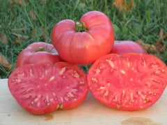 Watermelon Organic Tomato - ohio heirloom seeds